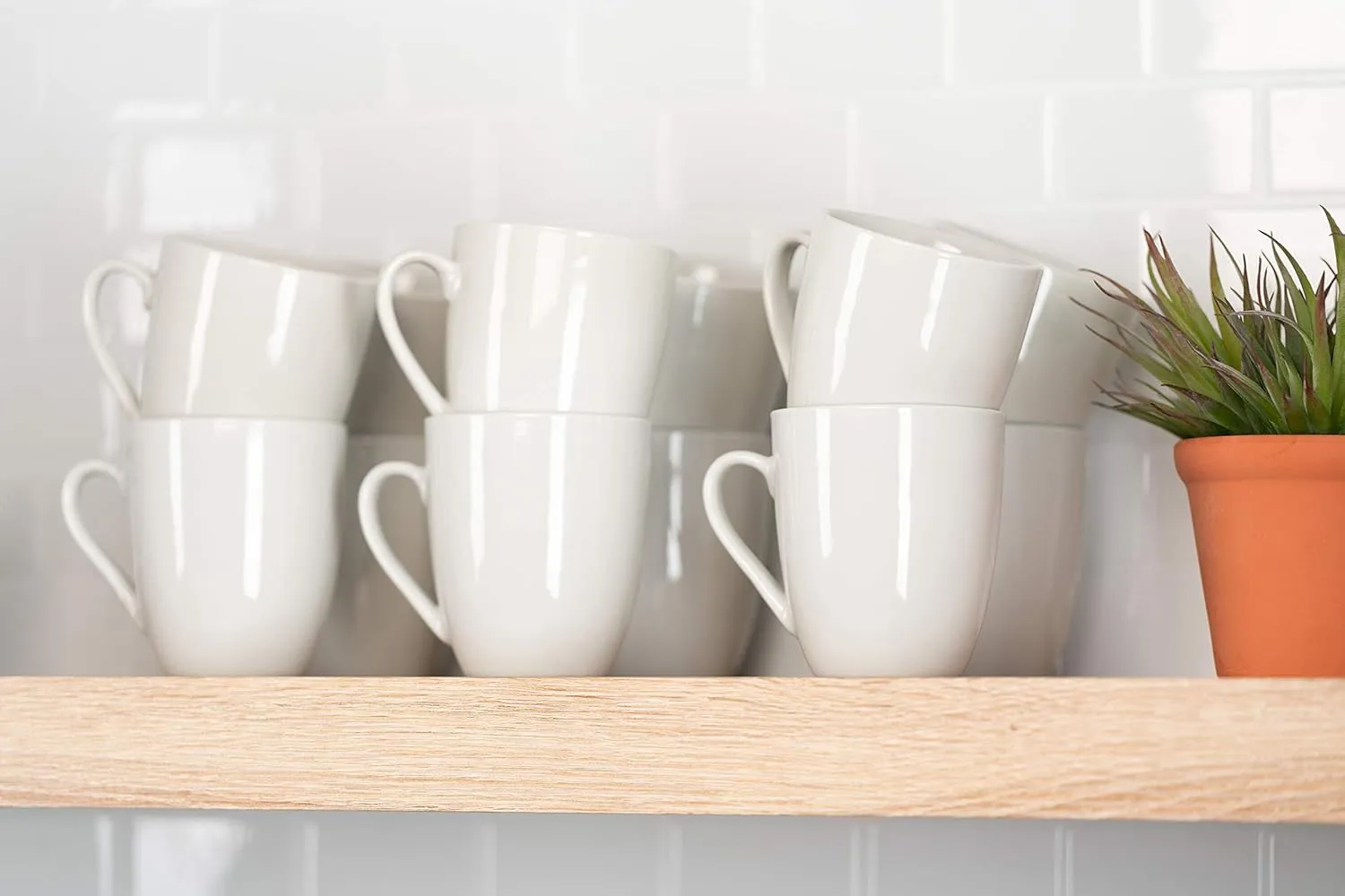 10 Strawberry Street Catering Sets of 12