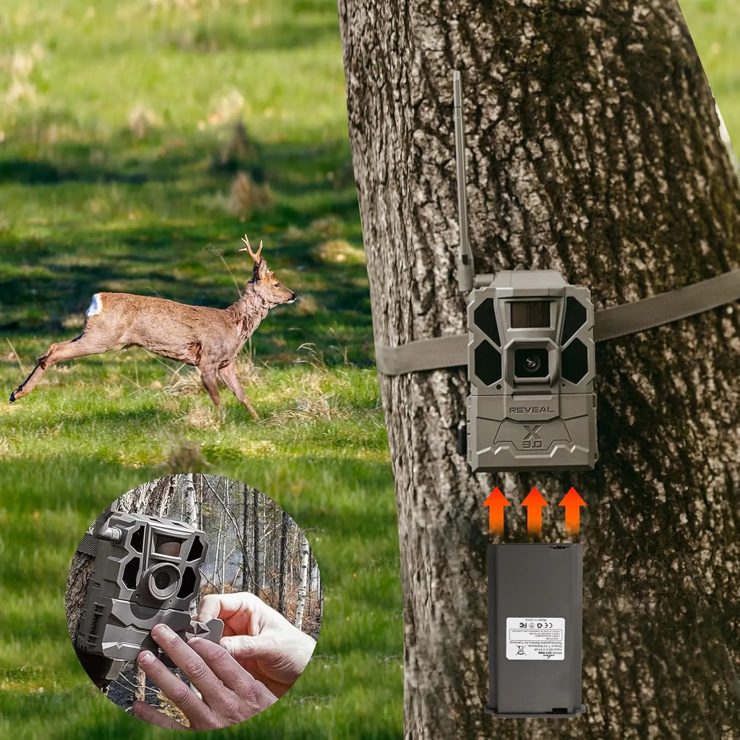2 Pack Rechargeable Lithium Reveal Trail Cameras Lithium Battery Hunting Camera Battery Pack Compatible with Hunting Trail Camera X, X Pro, XB, X Gen 2.0 and SK-6000mAh