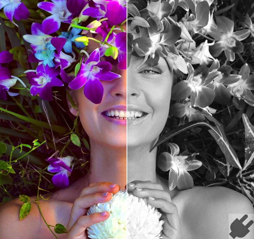 Corel AfterShot Pro 3 | RAW Photo Editing Software [PC Download]