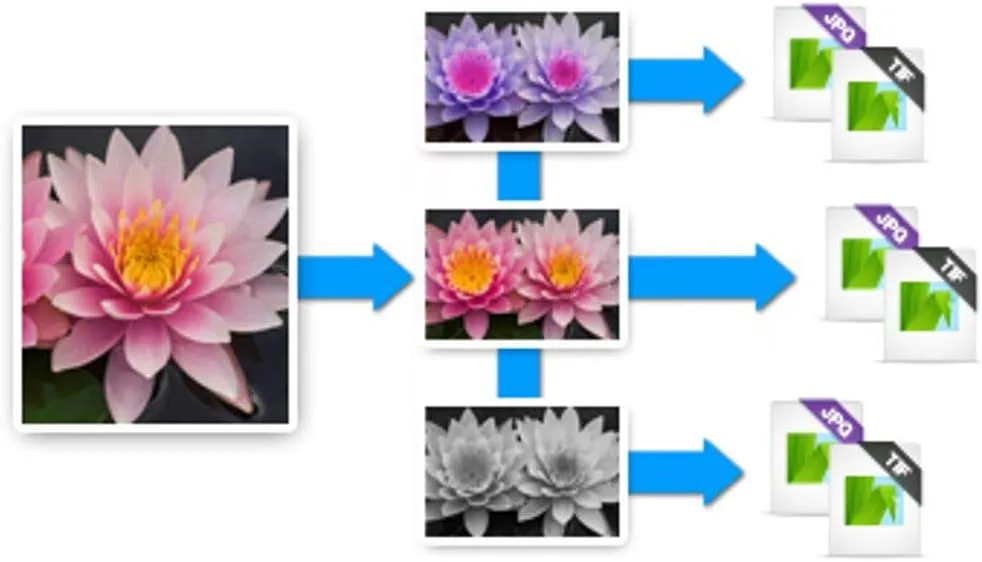 Corel AfterShot Pro 3 | RAW Photo Editing Software [PC Download]