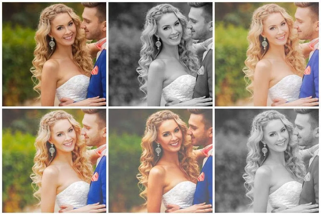 Corel AfterShot Pro 3 | RAW Photo Editing Software [PC Download]