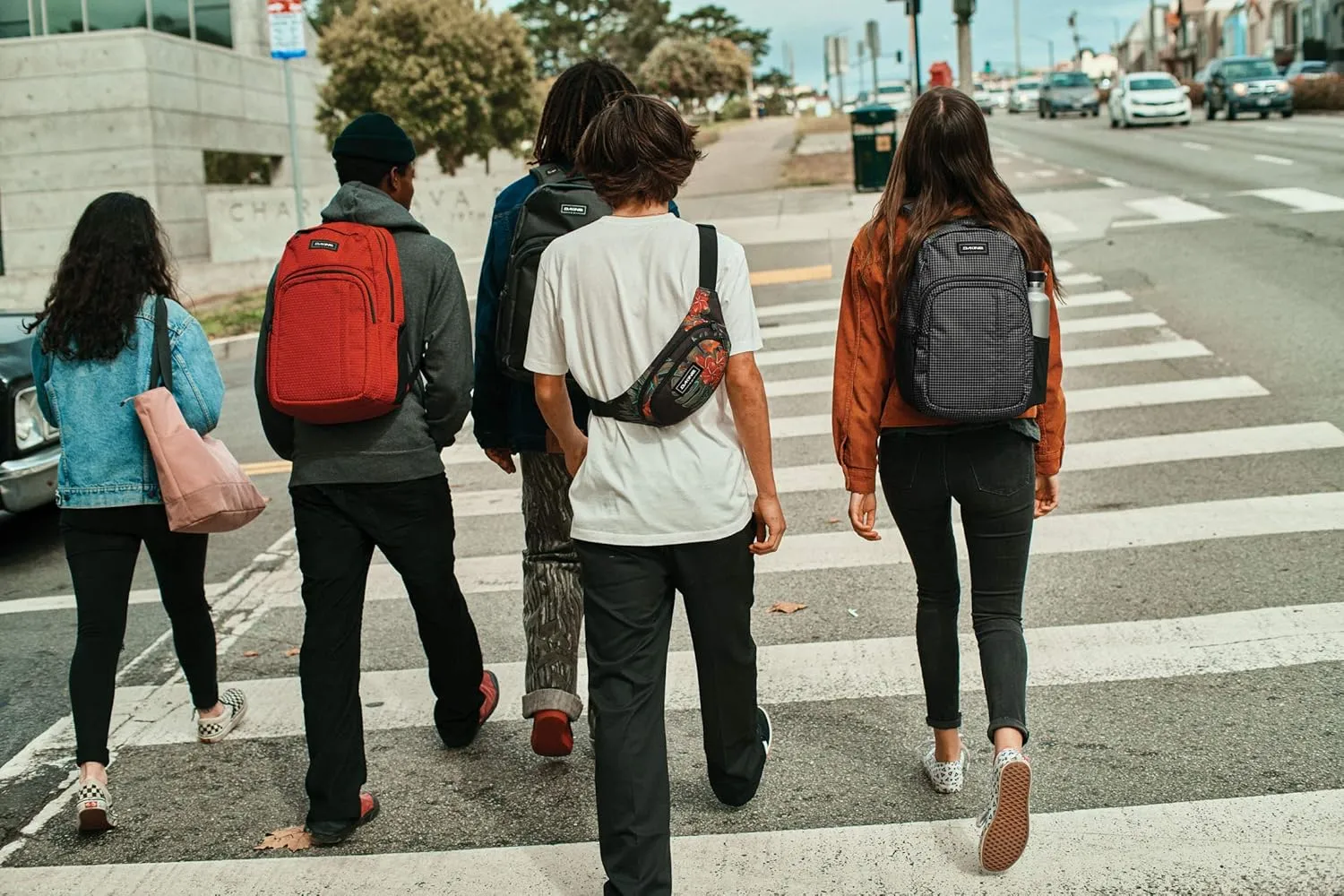Dakine Unisex Hip Pack
