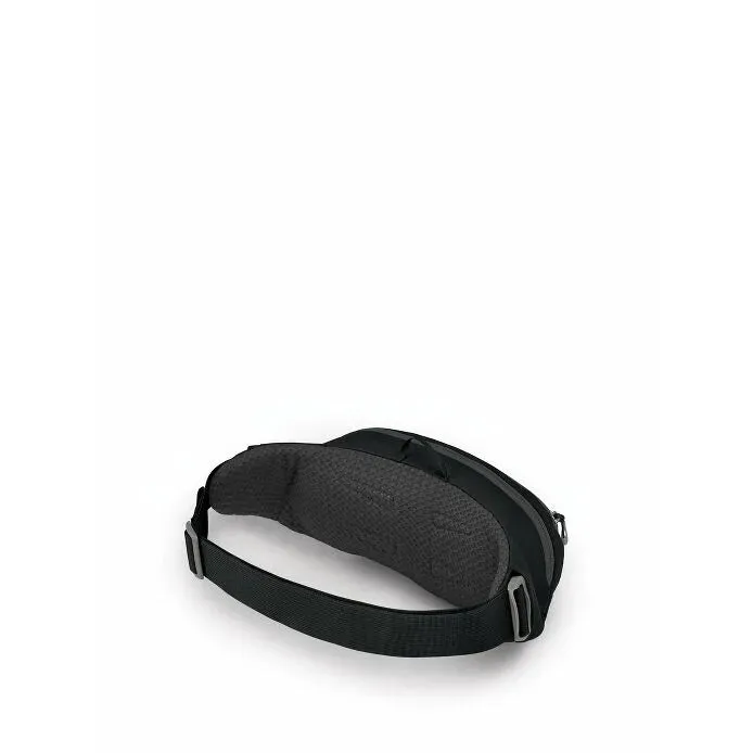 Daylite 2L Waist Pack