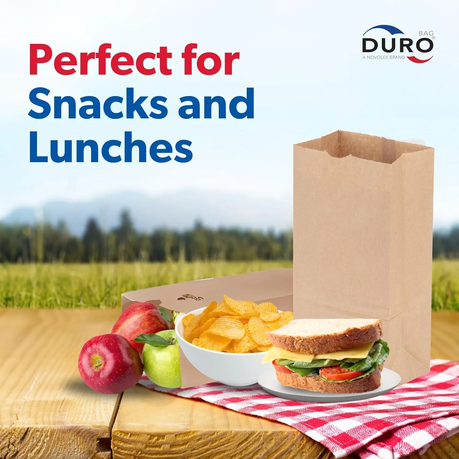 Duro 6# Paper Lunch Bags 100 Count - Bulk Disposable Kraft Paper Sacks, Dubl Life SOS Brown Bag for Candy, Snacks & Treats - 6.00 x3.62 x 11.06 Inches