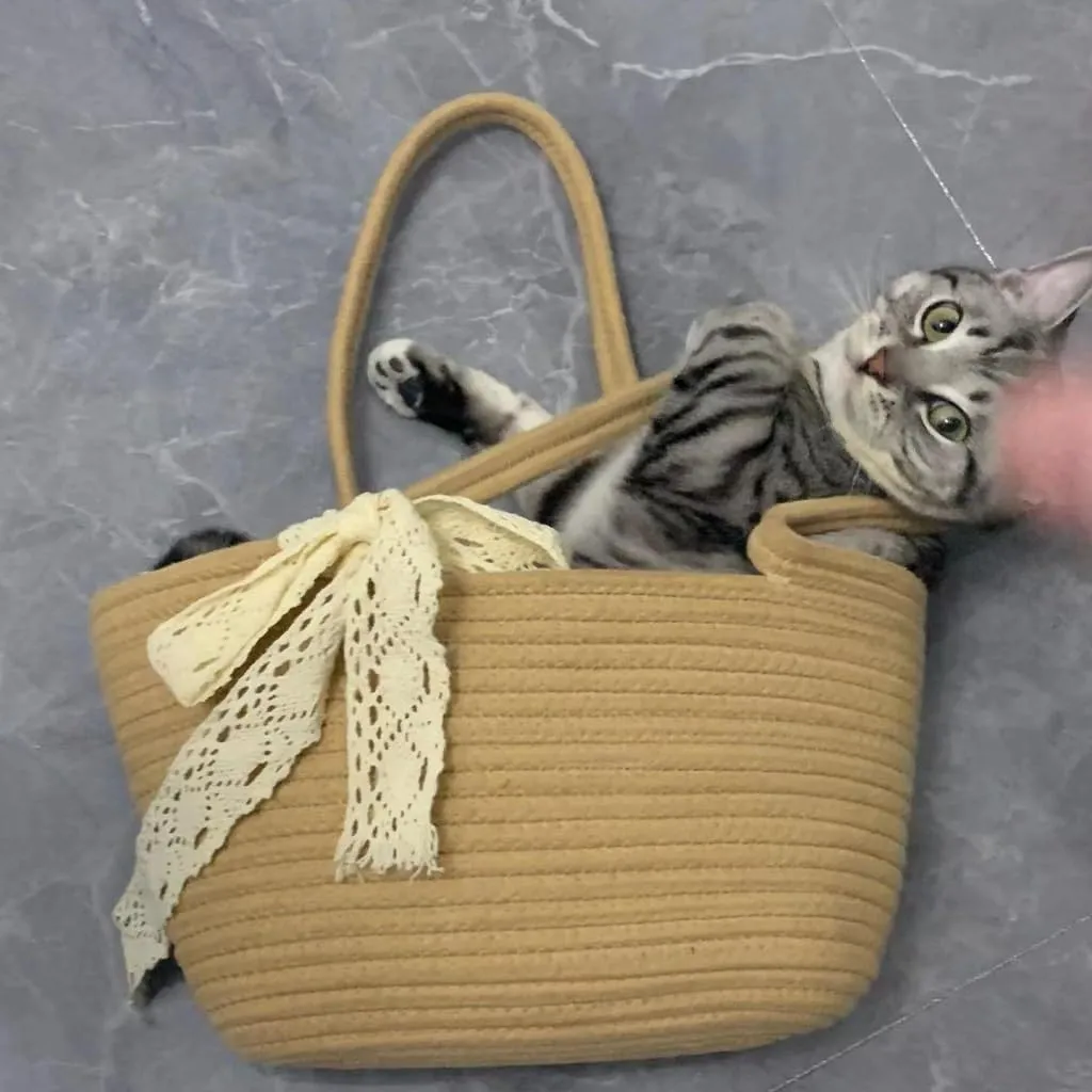 Large capacity Bag Casual Straw Handbag with Ribbon Decoration: Add a Sense of Comfort to Outings Ladies shoulder Bag