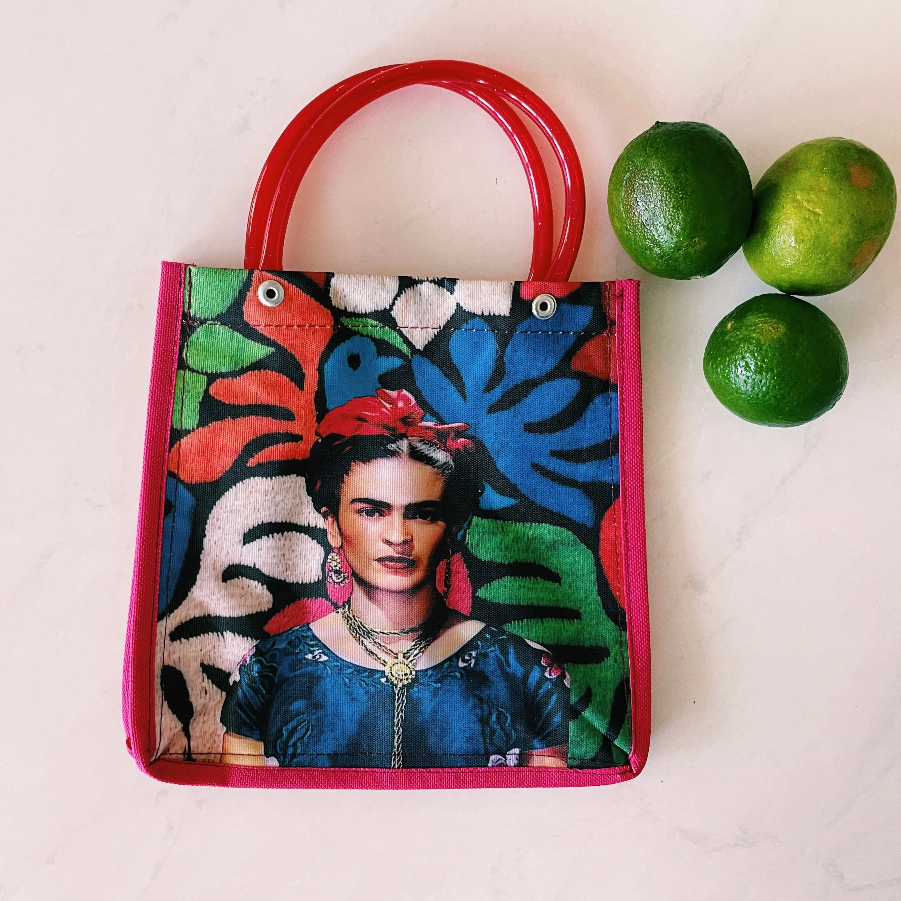 Mexican Frida Plastic Tote Purse 8 x 8 in