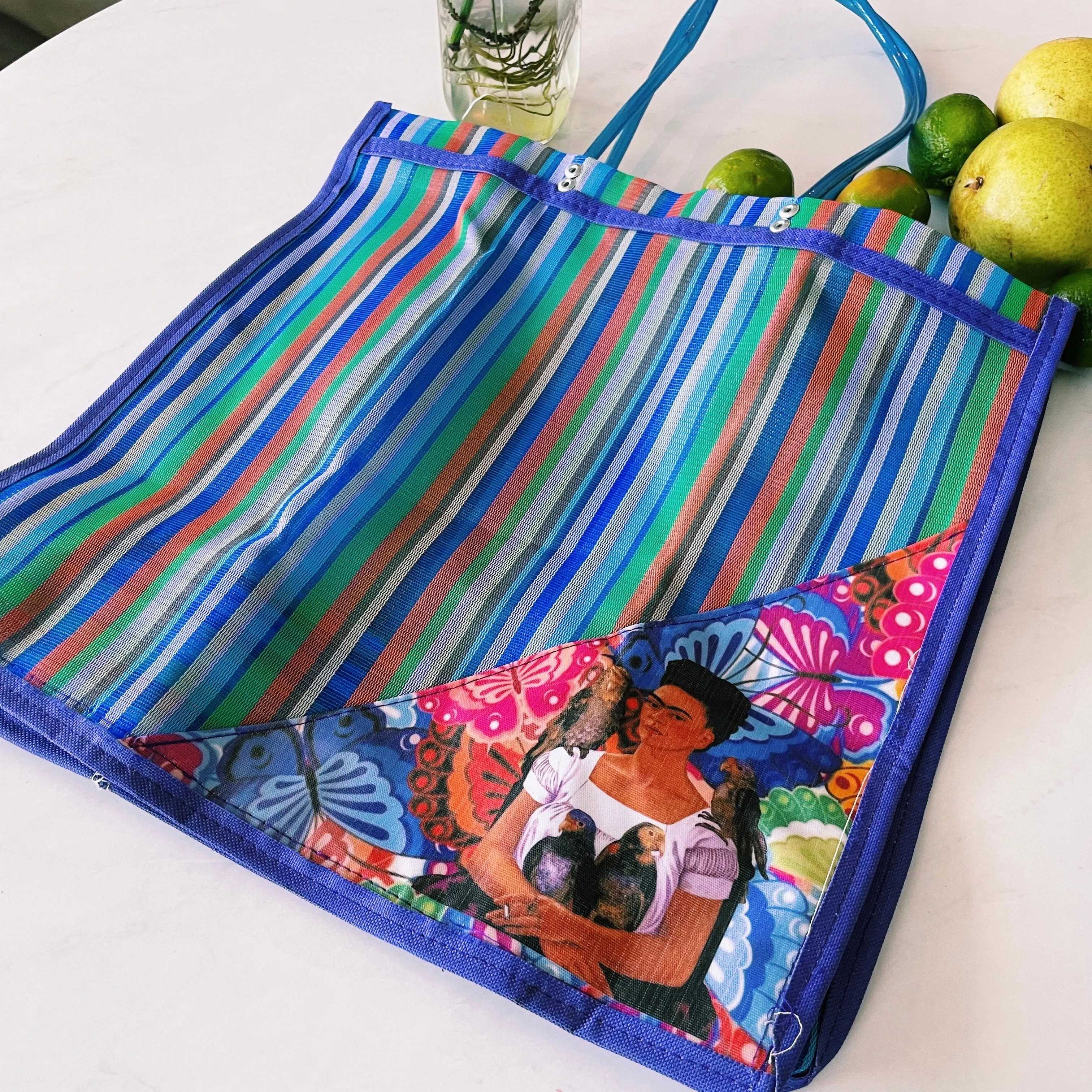 Mexican Triangle Frida Plastic Tote Purse 15 x15 in