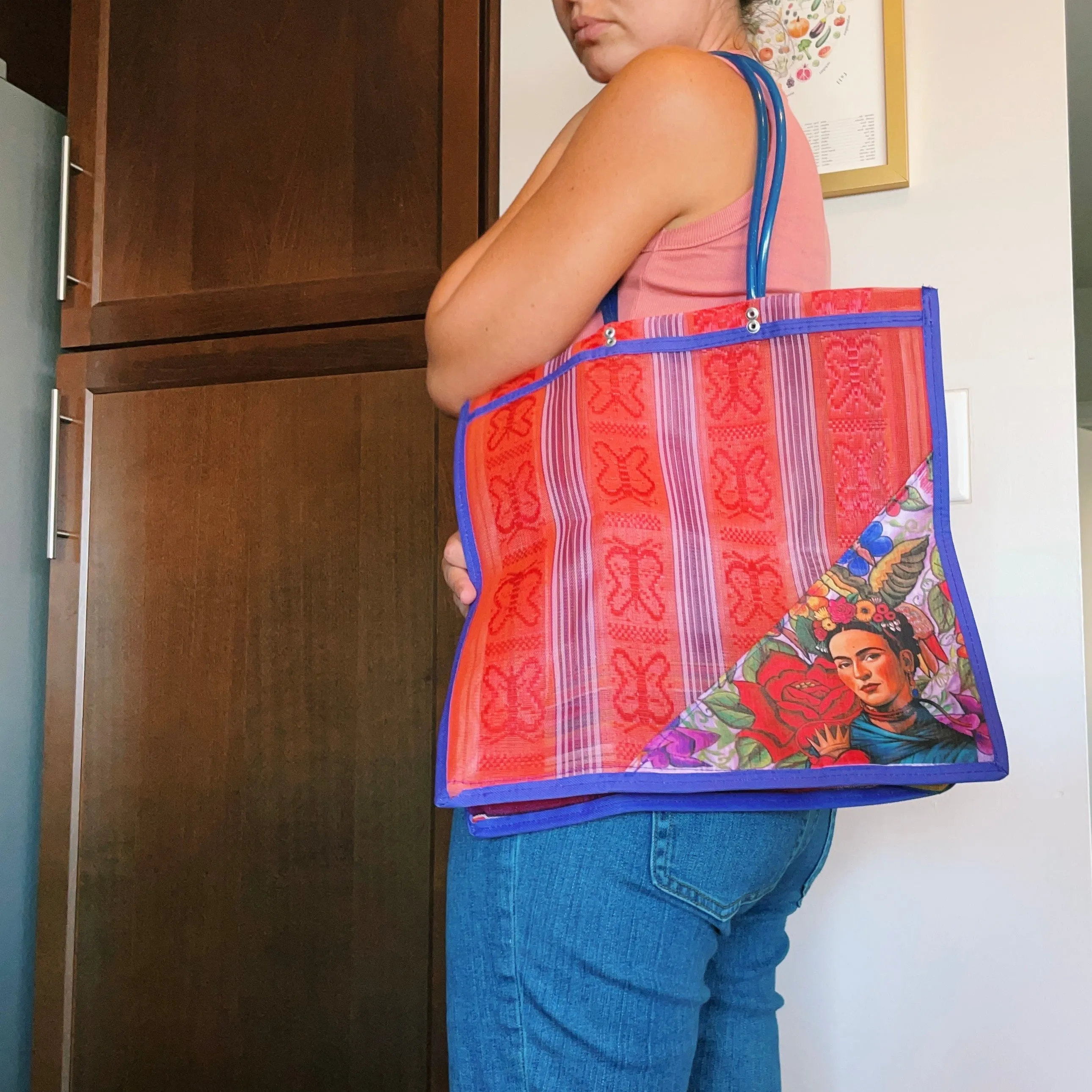 Mexican Triangle Frida Plastic Tote Purse 15 x15 in