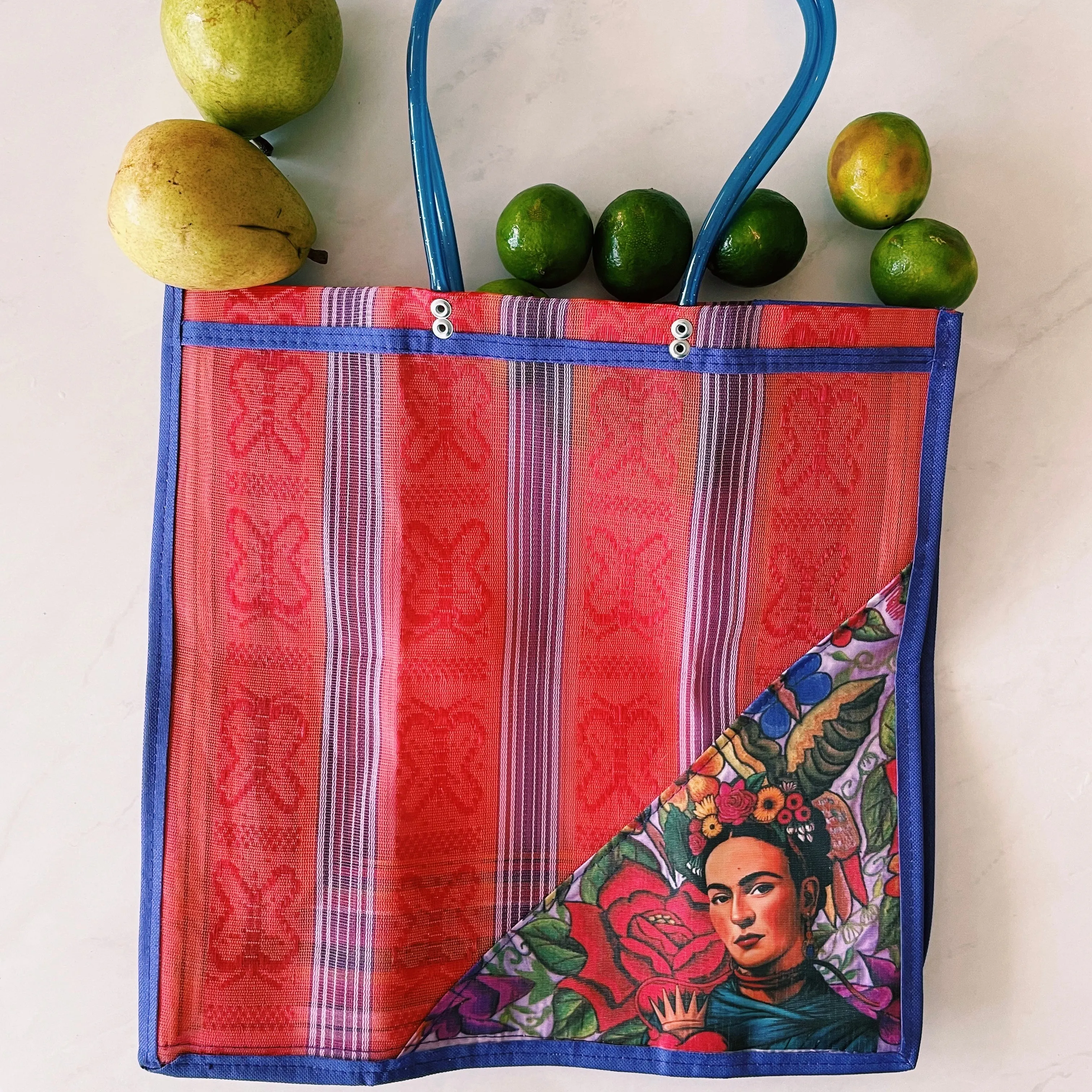 Mexican Triangle Frida Plastic Tote Purse 15 x15 in