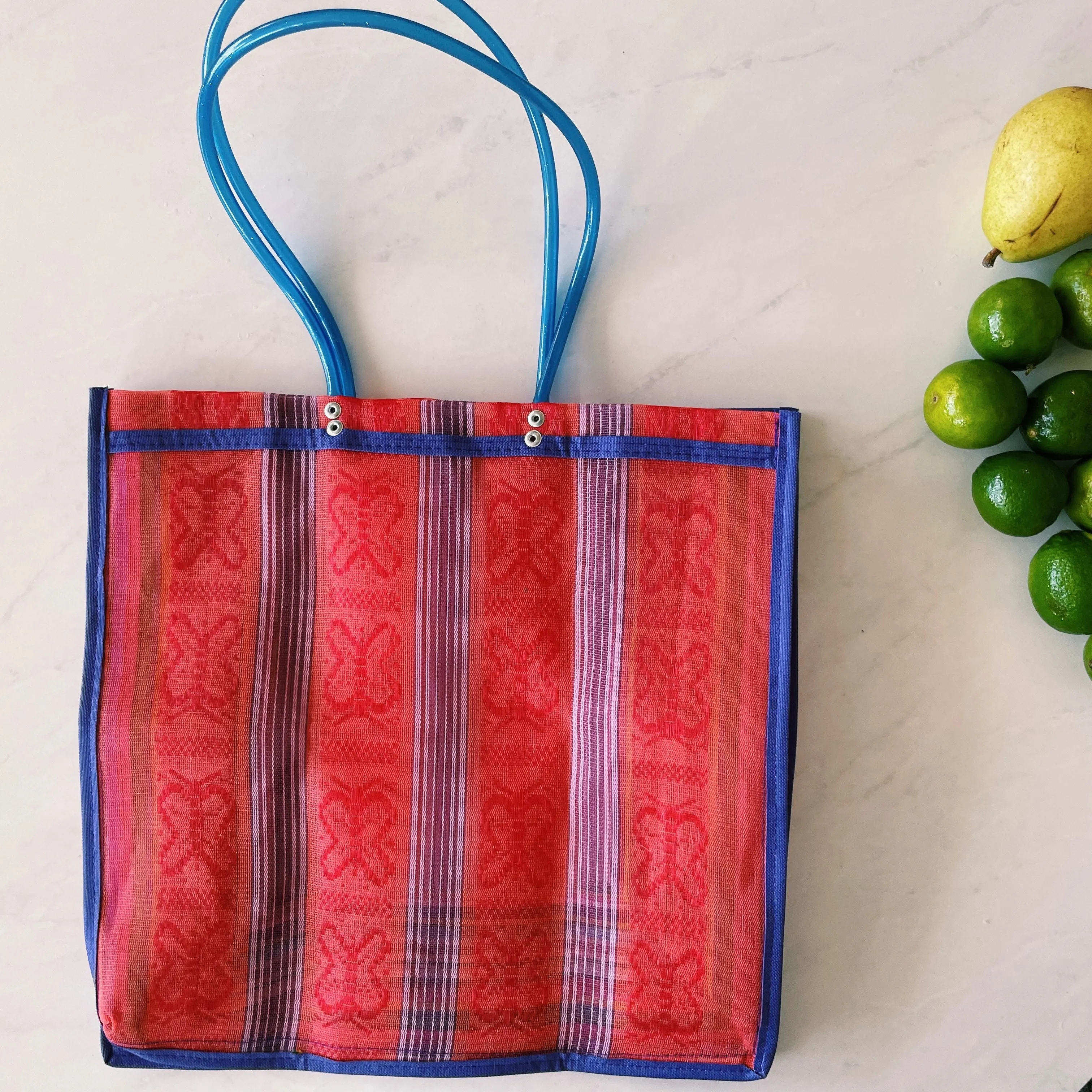 Mexican Triangle Frida Plastic Tote Purse 15 x15 in