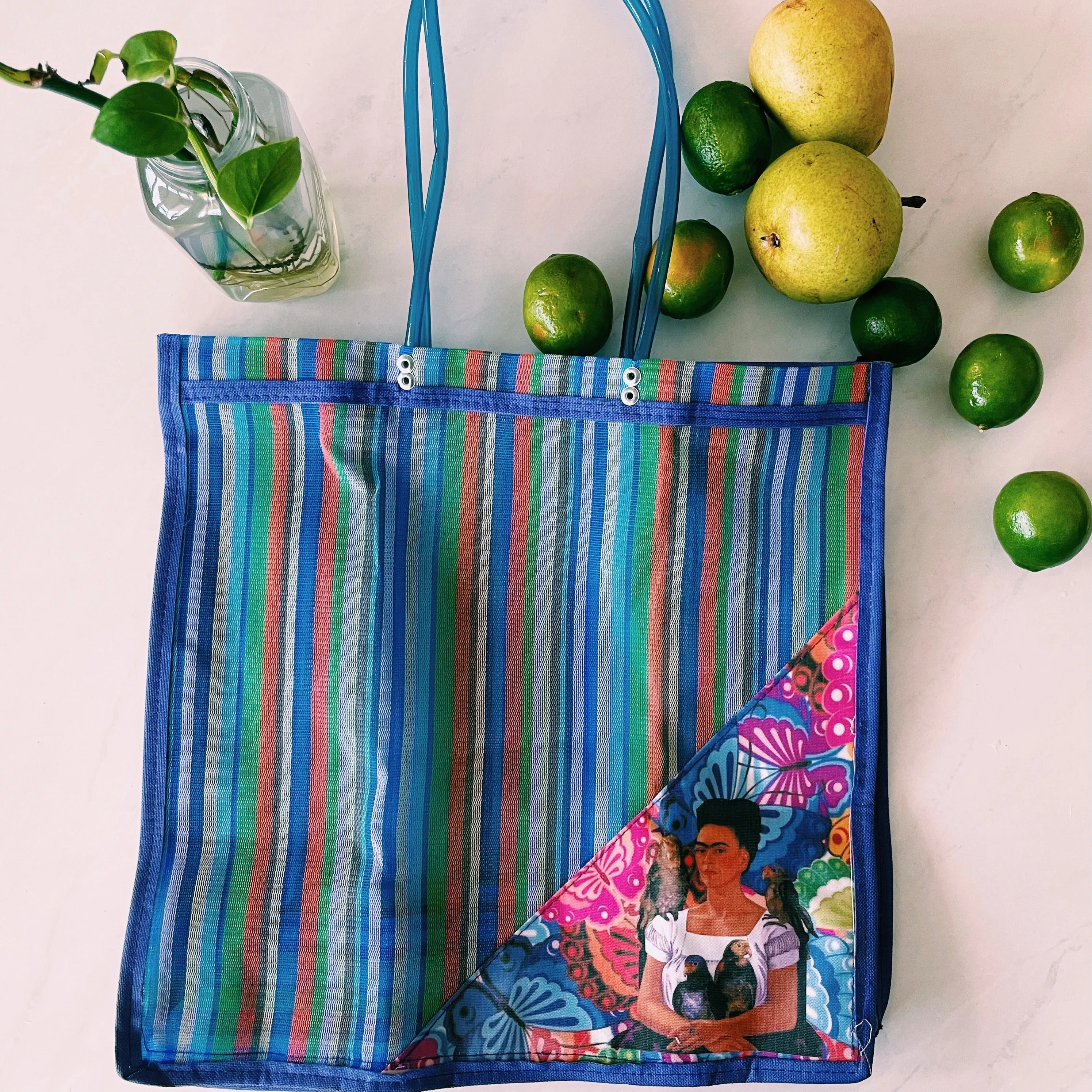 Mexican Triangle Frida Plastic Tote Purse 15 x15 in