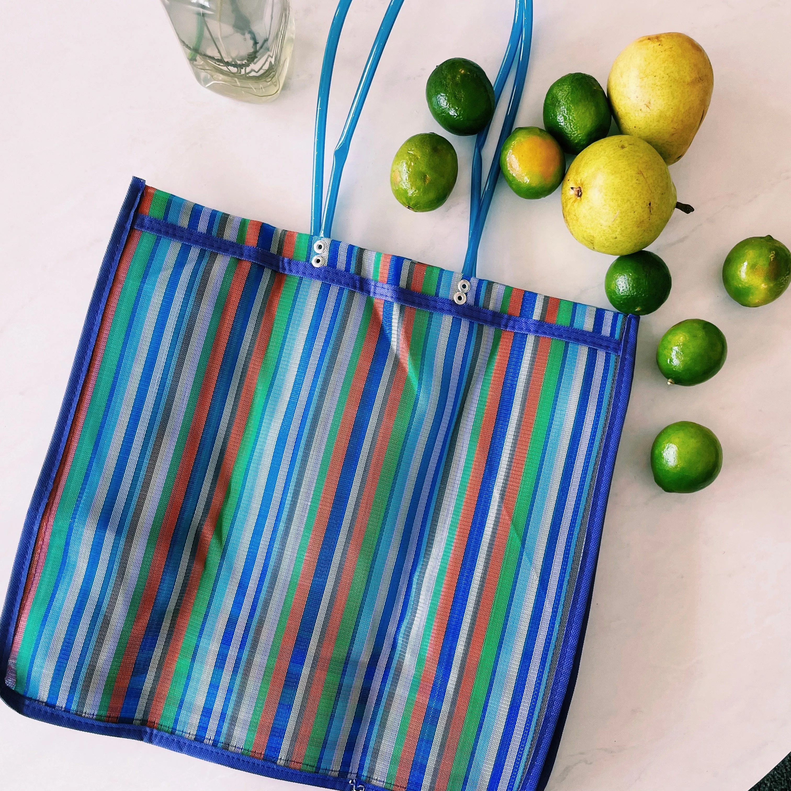 Mexican Triangle Frida Plastic Tote Purse 15 x15 in