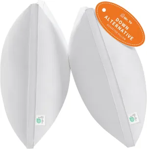 Mr. Ye Bed Pillows for Sleeping Queen Size 2 Pack Premium Hotel Quality Gusseted Pillows Fluffy Down Alternative Pillows for Back, Stomach or Side Sleepers, 20" x 30", White
