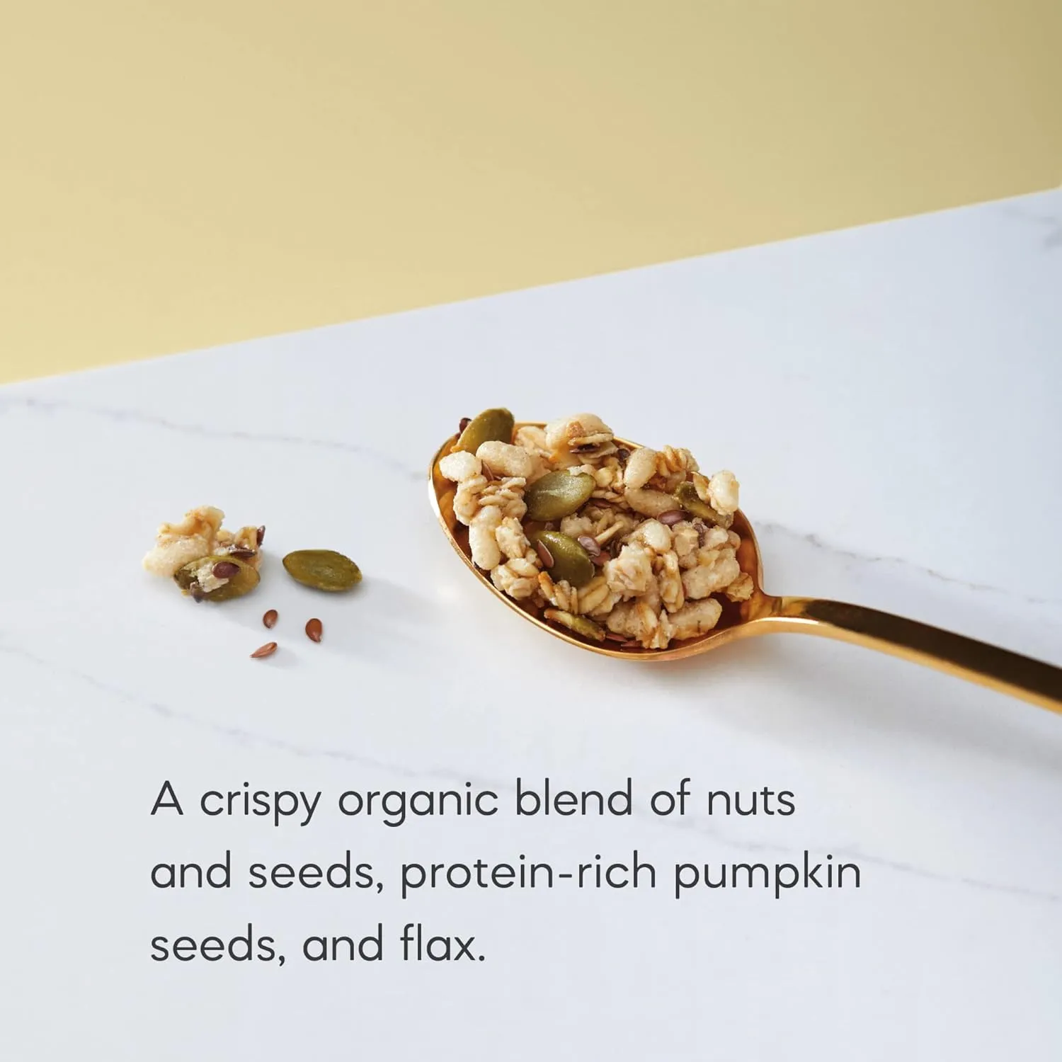 Nature's Path Organic Pumpkin Seed   Flax Granola, 24.7 oz (Pack of 6), Value Size, Non-GMO