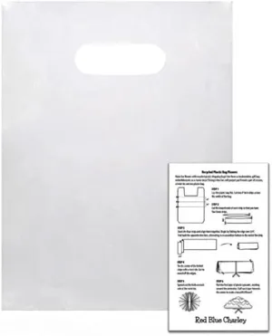 Plastic Shopping Bags | 100 Pack | Handle Bag for Retail | 1 Craft Insert … (Clear - 9x12)