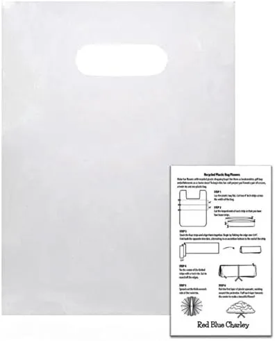 Plastic Shopping Bags | 100 Pack | Handle Bag for Retail | 1 Craft Insert … (Clear - 9x12)