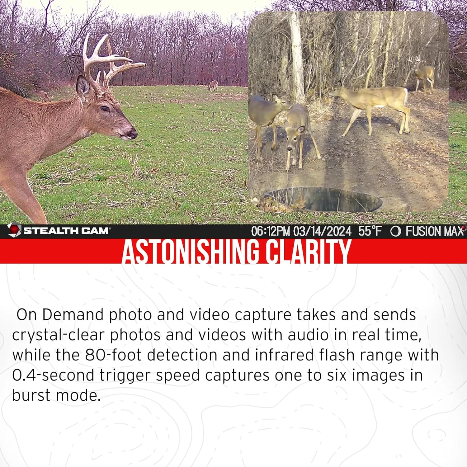 Stealth Cam 36MP Fusion Max Cellular Trail Camera (2-Pack) Bundle with 2X Lithium Solar Power Panel, 2X Trail Camera Holder, 2X 32GB Memory Card, and Card Reader (9 Items)