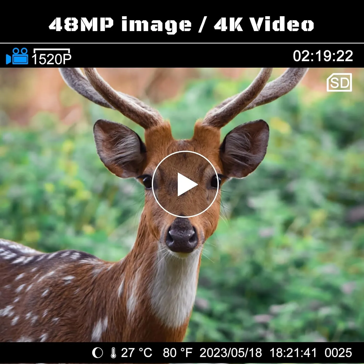 Trail Camera, 4K 48MP Trail Game Camera with Night Vision 0.1s Trigger Motion Activated, IP66 Waterproof 130° Wide Angle Hunting Cam with 50pcs No Glow LEDs for Wildlife Monitoring